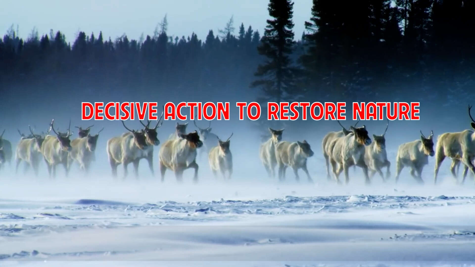Decisive action to restore nature
